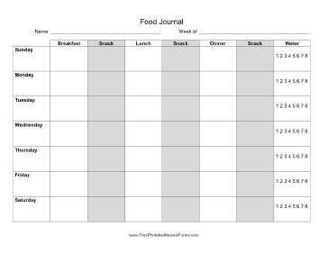 Daily Food Journal Medical Form