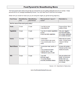 Food Pyramid Breastfeeding Medical Form