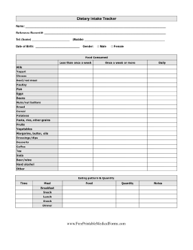 Food Quantity Intake Record Medical Form