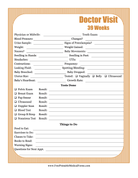 Pregnancy Journal 10 Medical Form