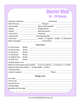 Pregnancy Journal 3 Medical Form