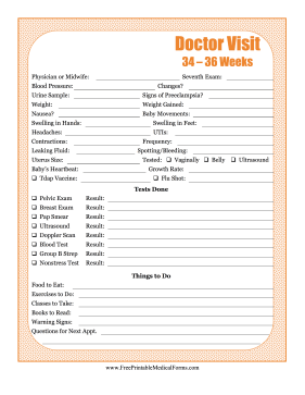 Pregnancy Journal 7 Medical Form