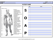 SOAP Note with Body